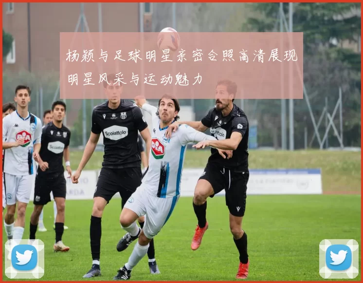 杨颖与足球明星亲密合照高清展现明星风采与运动魅力