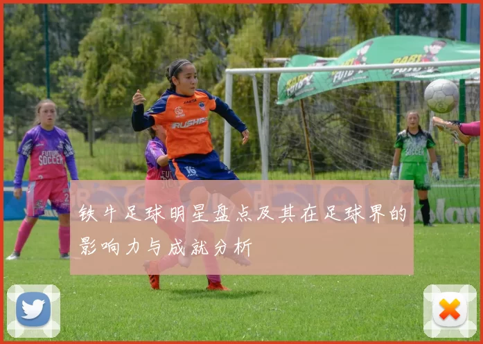 铁牛足球明星盘点及其在足球界的影响力与成就分析