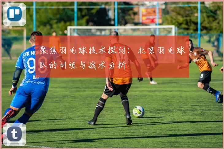 聚焦羽毛球技术探讨：北京羽毛球队的训练与战术分析