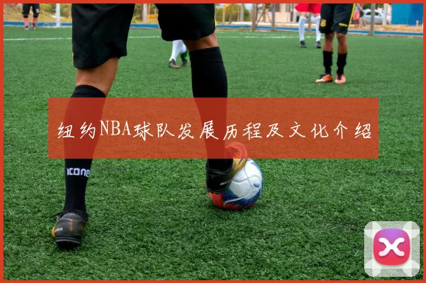 纽约NBA球队发展历程及文化介绍