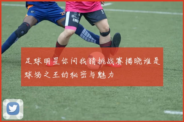 足球明星你问我猜挑战赛揭晓谁是球场之王的秘密与魅力
