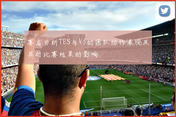 赛后分析TES与V5的团队协作表现及其对比赛结果的影响