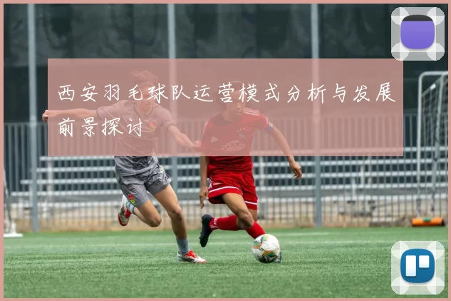 西安羽毛球队运营模式分析与发展前景探讨