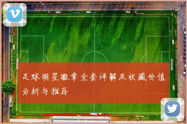 足球明星徽章全套详解及收藏价值分析与推荐