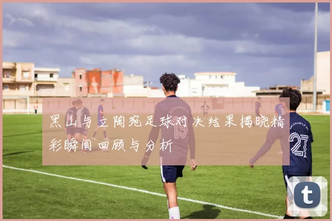 黑山与立陶宛足球对决结果揭晓精彩瞬间回顾与分析