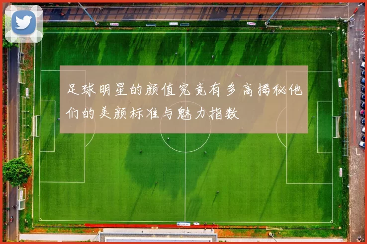 足球明星的颜值究竟有多高揭秘他们的美颜标准与魅力指数
