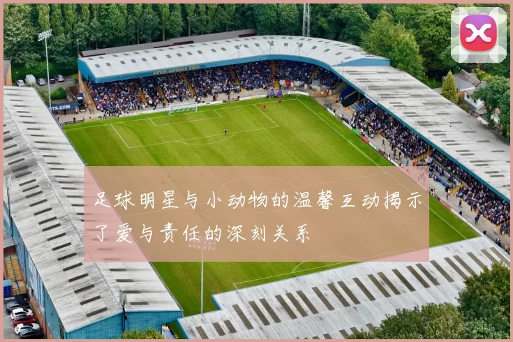 足球明星与小动物的温馨互动揭示了爱与责任的深刻关系