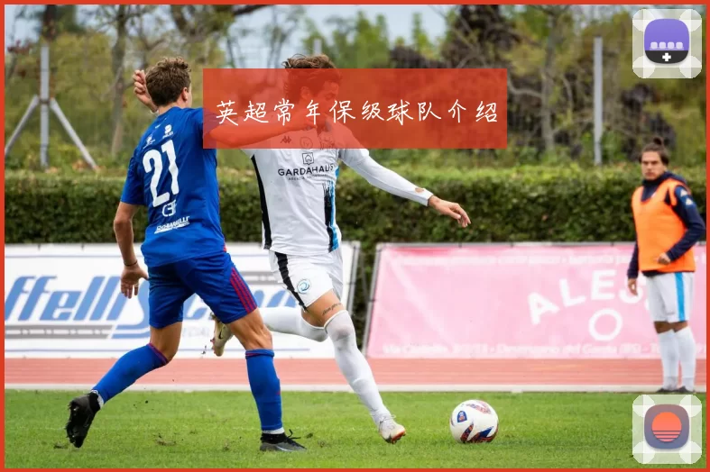 英超常年保级球队介绍