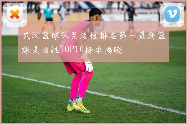 武汉篮球队灵活性排名第一最新篮球灵活性TOP10榜单揭晓