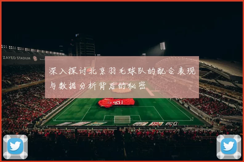 深入探讨北京羽毛球队的配合表现与数据分析背后的秘密
