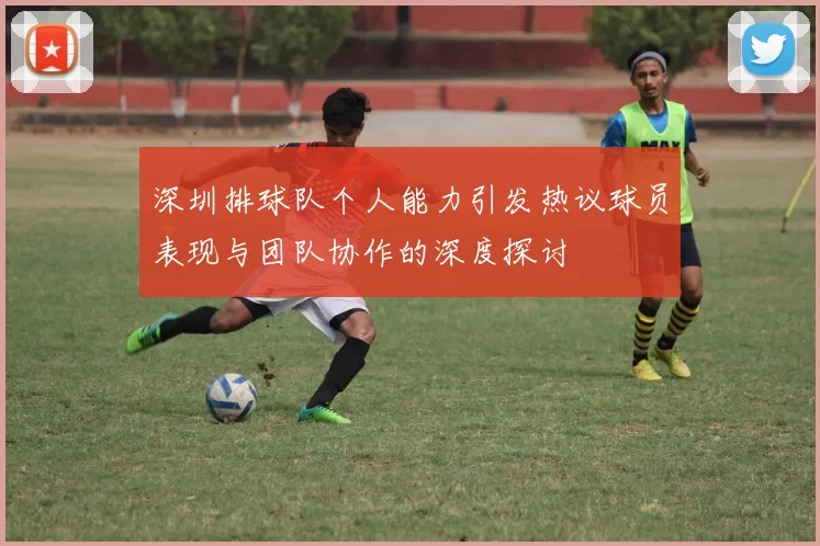 深圳排球队个人能力引发热议球员表现与团队协作的深度探讨