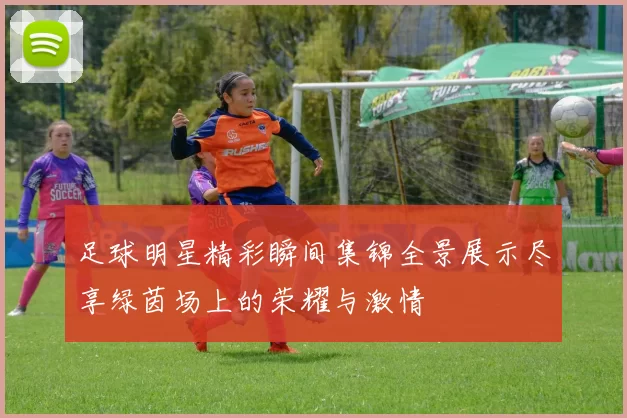 足球明星精彩瞬间集锦全景展示尽享绿茵场上的荣耀与激情