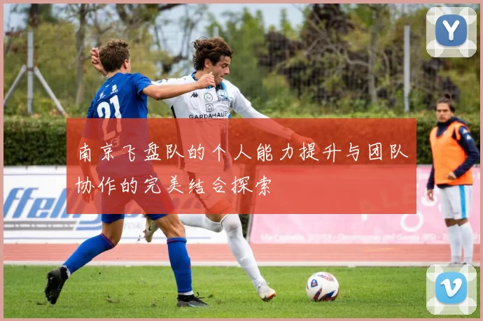 南京飞盘队的个人能力提升与团队协作的完美结合探索