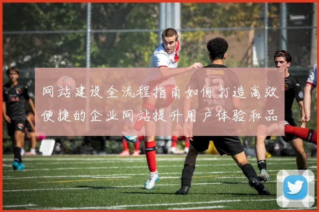 网站建设全流程指南如何打造高效便捷的企业网站提升用户体验和品牌价值