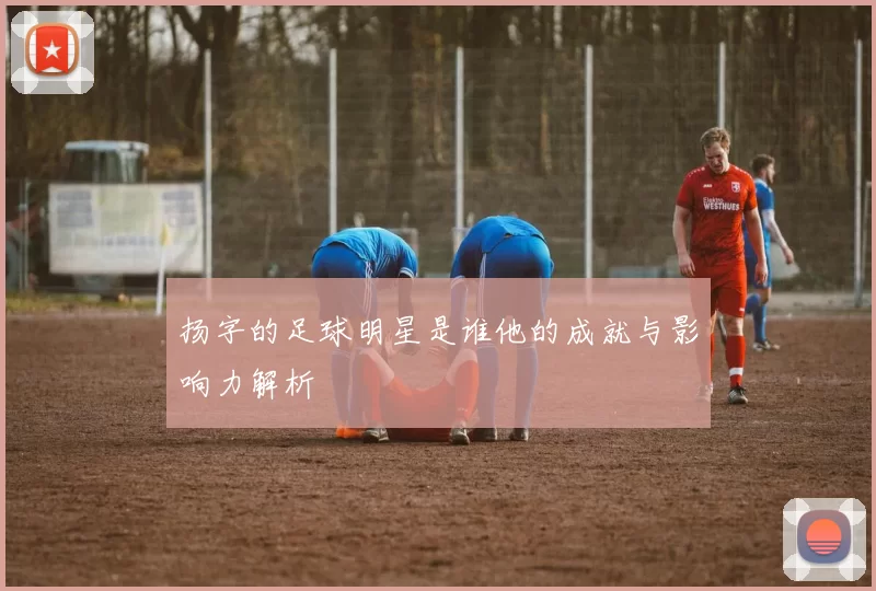 扬字的足球明星是谁他的成就与影响力解析