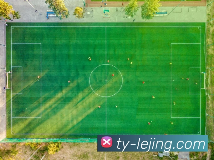 App 示例图